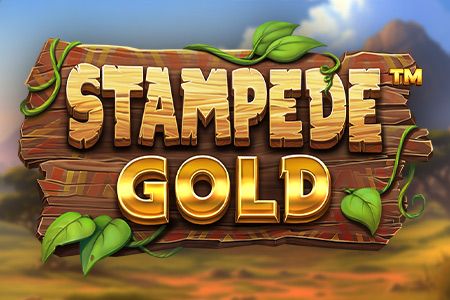 Stampede Gold