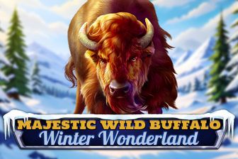 Majestic Wild Buffalo - Winter Wonderland
