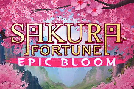 Sakura Fortune Epic Bloom